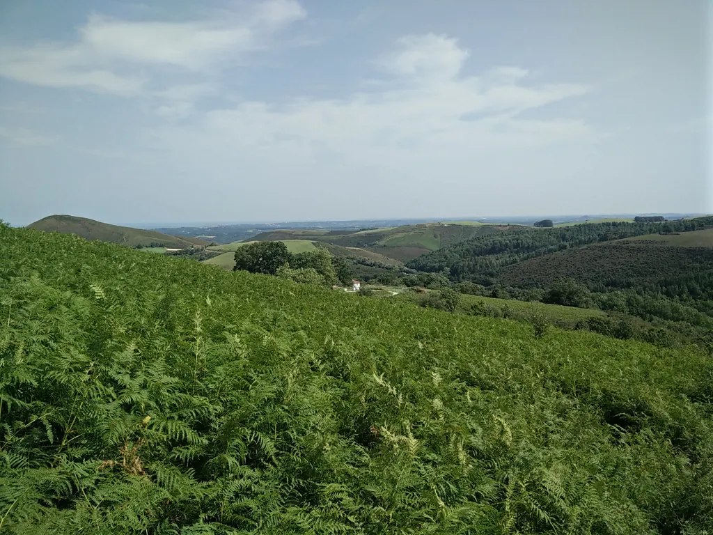 Collines, prairies et boisements du Labourd vus depuis la Rhune